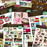2009collection1