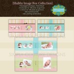 Shabby Baby Image Box Collection