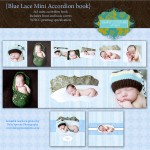 Blue Lace Mini Accordion Book