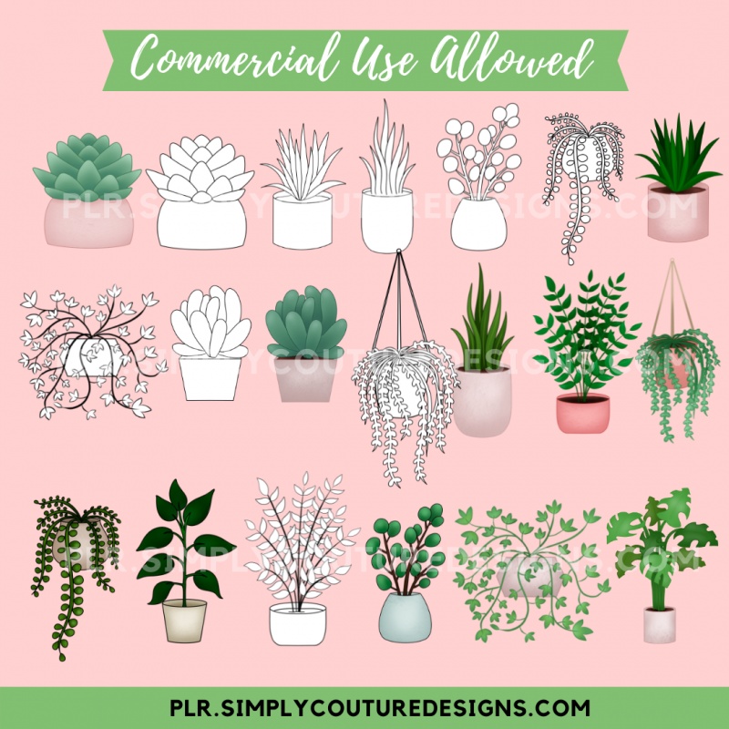 Home Plant Line Art and Graphics Pack Bump Offer